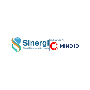 Sinergi ID logo