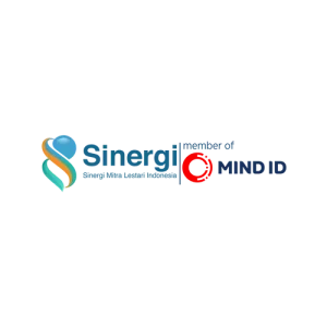 Sinergi ID logo