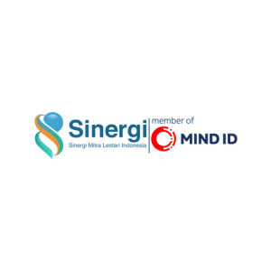 logo-sinergi